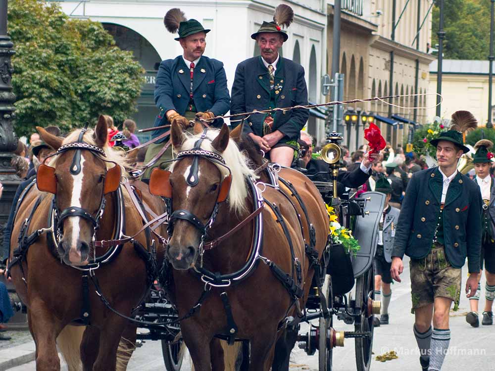 Pferdekutscher-Gamsbart.jpg Pferdekutscher-Gamsbart.jpg